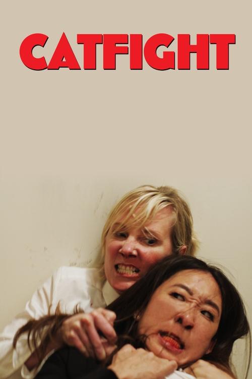 Póster de Catfight