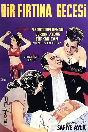 Póster de Bir Fırtına Gecesi
