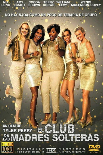 Póster de Club de las madres solteras