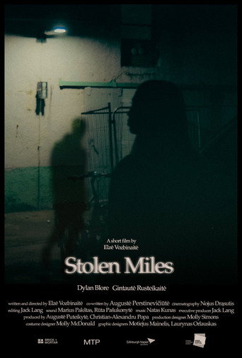 Póster de Stolen Miles