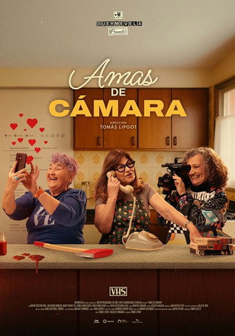 Póster de Amas de cámara