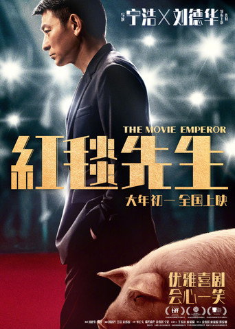 Póster de 红毯先生