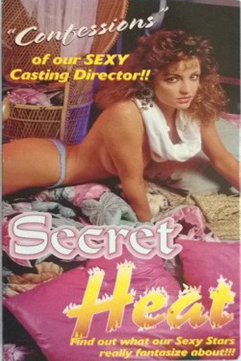 Póster de Secret Heat