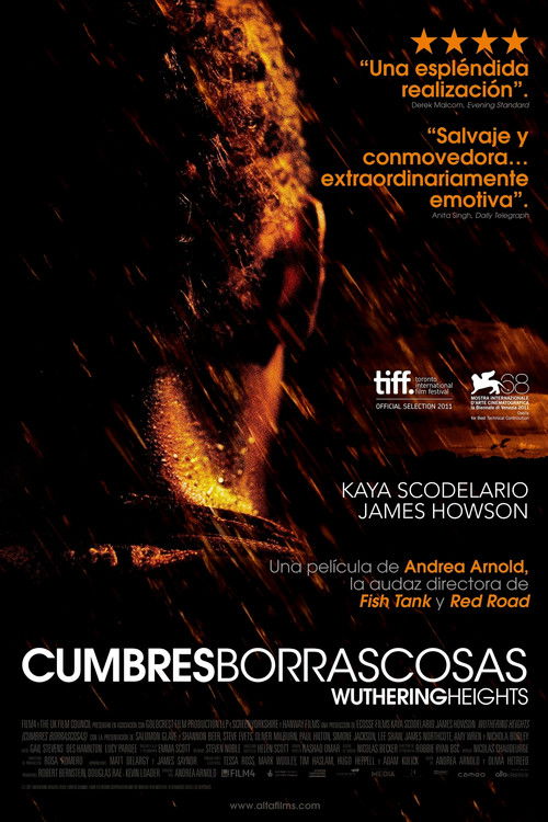 Póster de Cumbres borrascosas