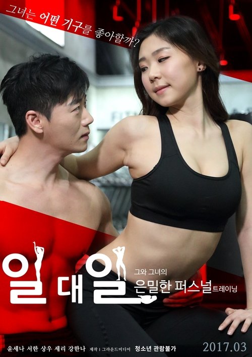 Póster de 일대일