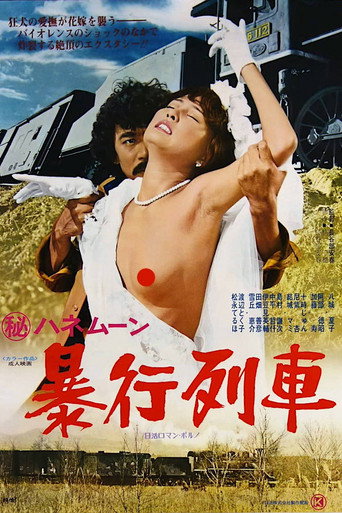 Póster de (秘)ハネムーン 暴行列車