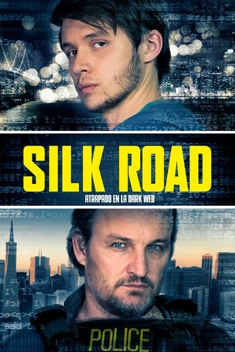 Póster de Silk Road: El camino oculto