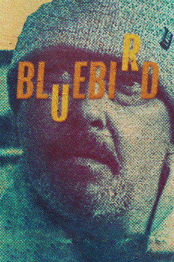 Póster de Bluebird