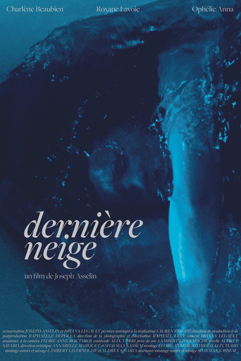 Póster de Dernière neige