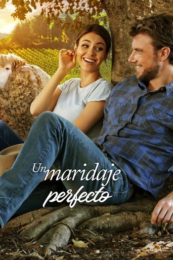 Póster de Un maridaje perfecto