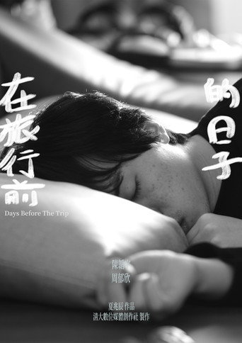 Póster de 在旅行前的日子