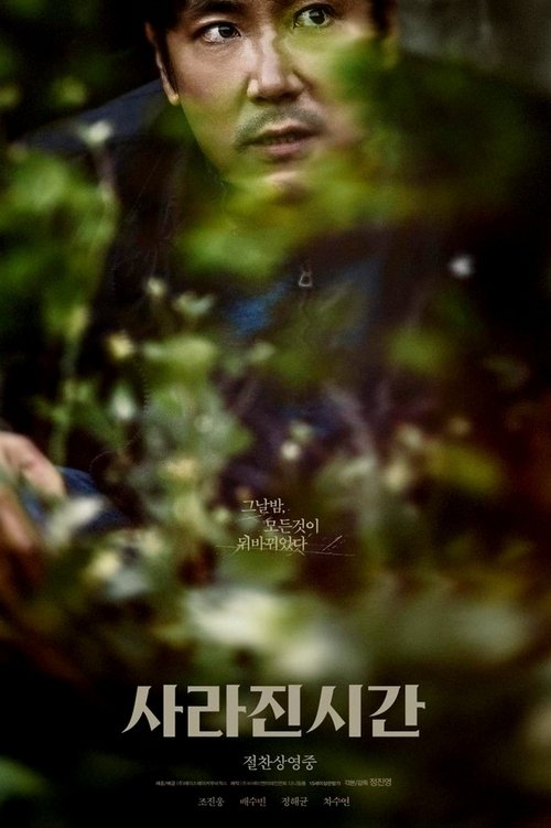 Póster de 사라진 시간