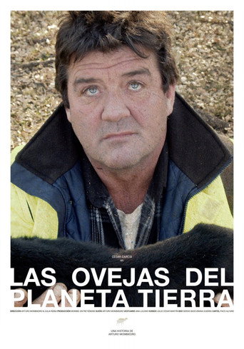 Póster de Las ovejas del planeta Tierra