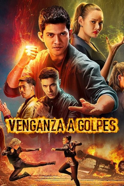Póster de Venganza a golpes