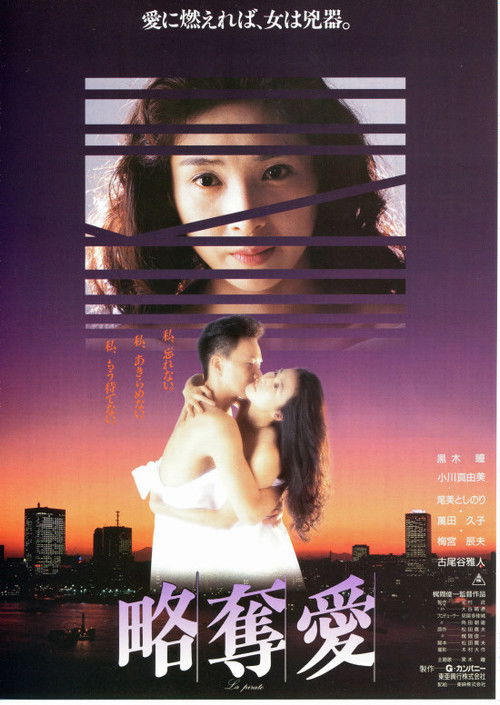 Póster de 略奪愛