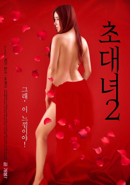 Póster de 초대녀 2