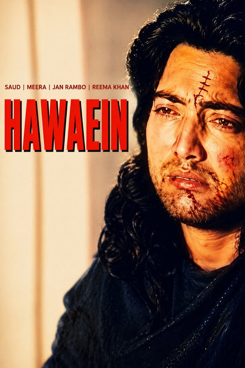 Póster de Hawaein (The Wind)