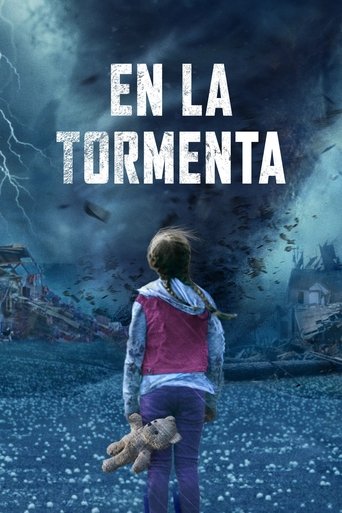 Póster de En la tormenta