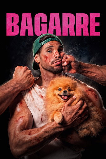 Póster de Bagarre