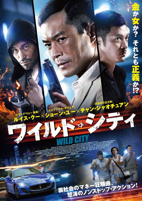 Póster de 迷城