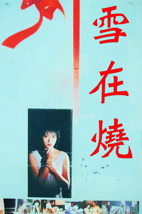 Póster de 雪在燒