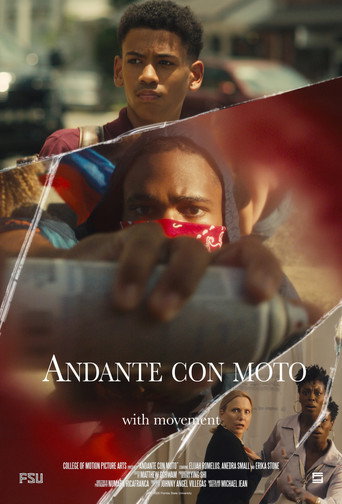 Póster de Andante con moto