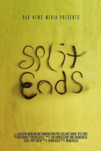 Póster de Split Ends