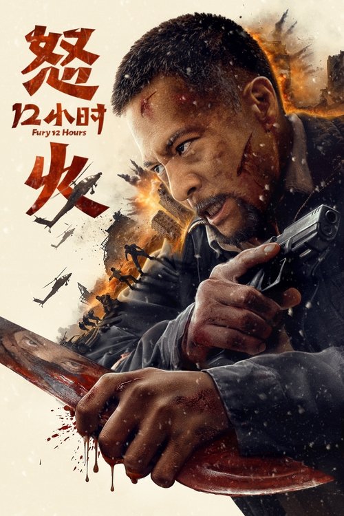 Póster de 怒火十二小时