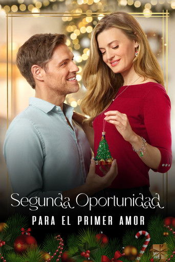 Póster de A Godwink Christmas: Second Chance, First Love