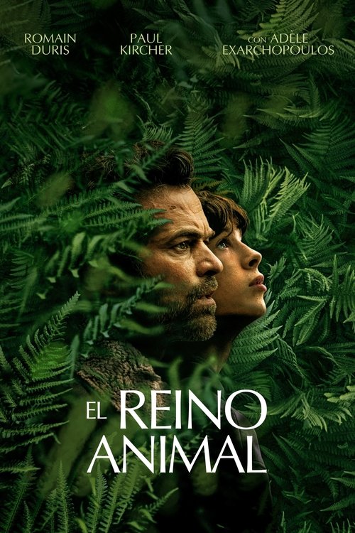 Póster de Criaturas Asombrosas