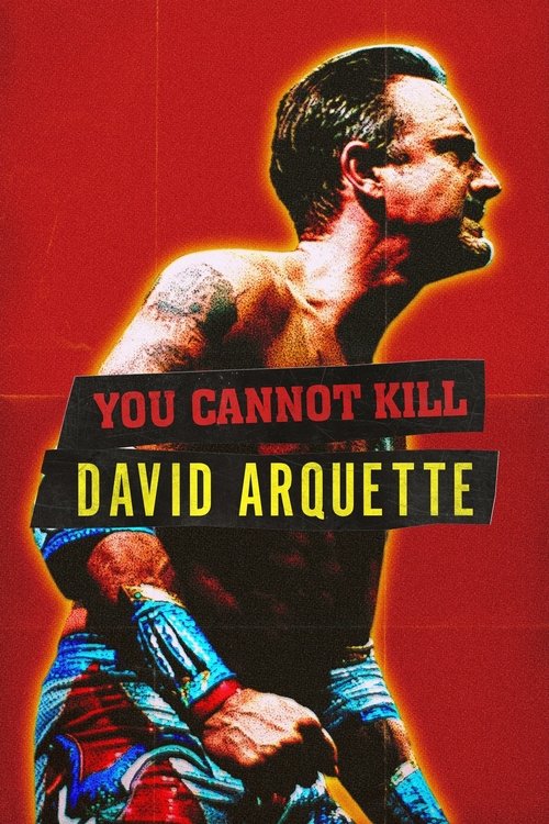 Póster de El regreso de David Arquette