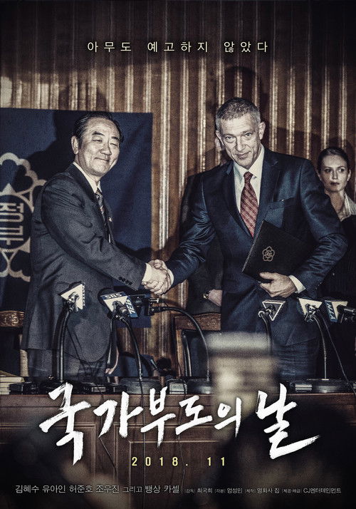 Póster de 국가부도의 날