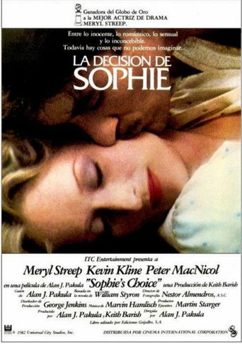 Póster de La decisión de Sophie