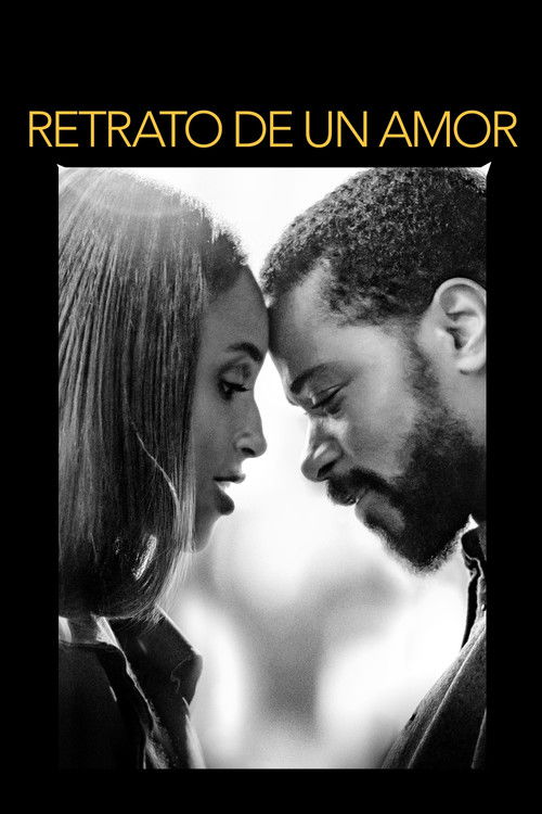 Póster de La fotografía