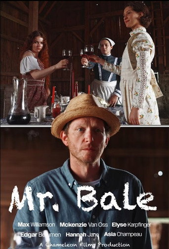 Póster de Mr. Bale