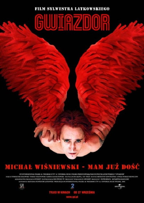 Póster de Gwiazdor