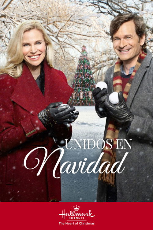 Póster de Christmas Connection
