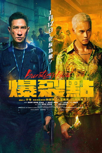 Póster de Bursting Point