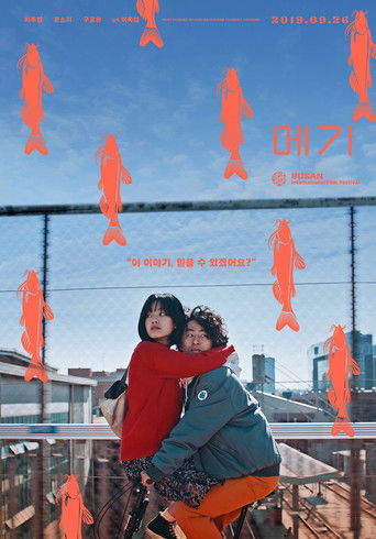 Póster de 메기