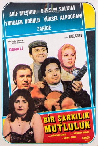 Póster de Bir Şarkılık Mutluluk