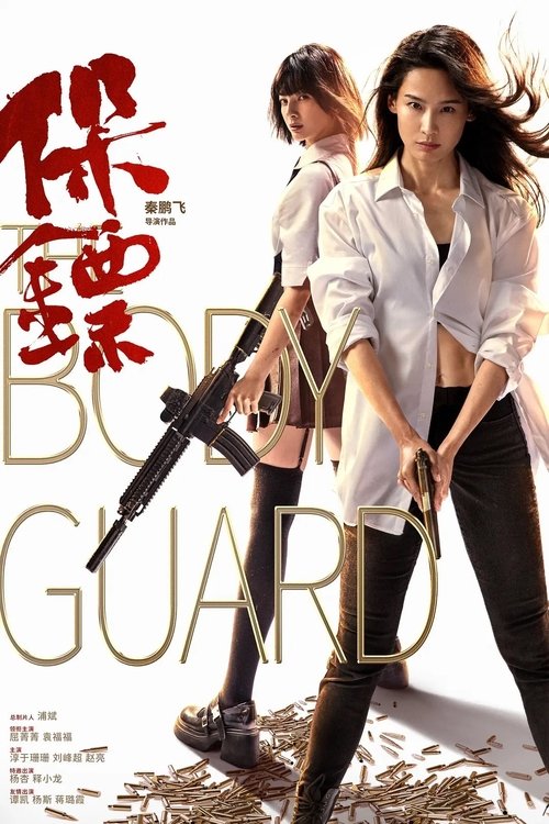 Póster de 保镖