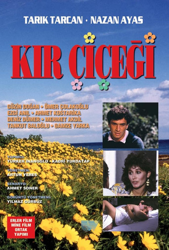Póster de Kır Çiçeği