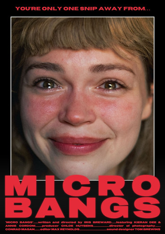 Póster de Micro Bangs