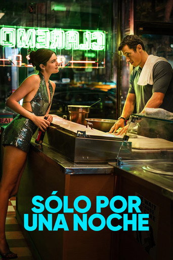 Póster de Solo por una noche
