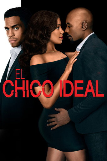 Póster de El tipo perfecto