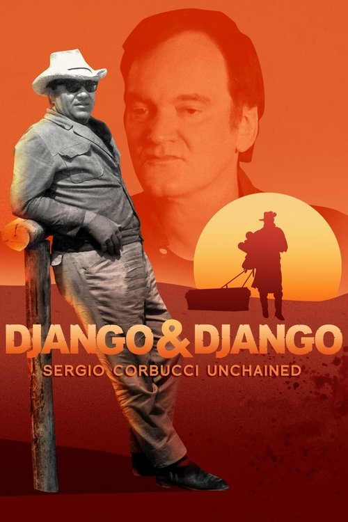 Póster de Django & Django