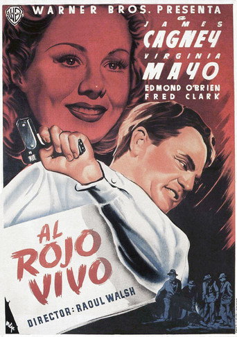Póster de Alma Negra