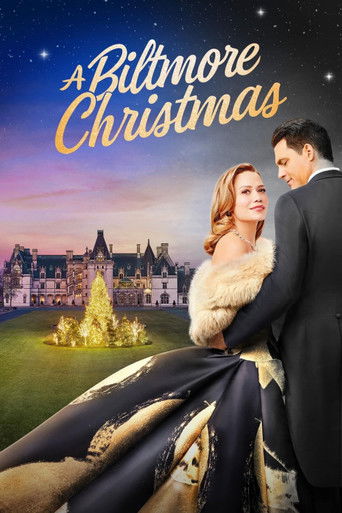 Póster de Una Navidad de Biltimore