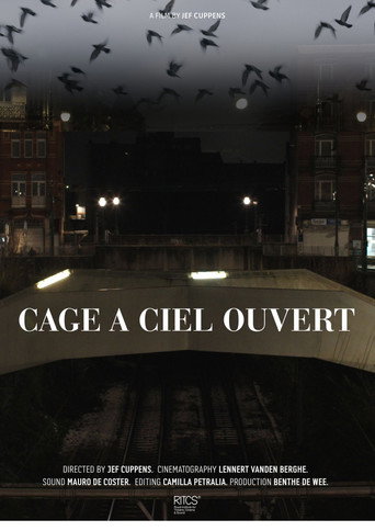 Póster de Cage À Ciel Ouvert