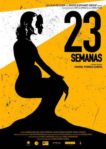 Póster de 23 Semanas